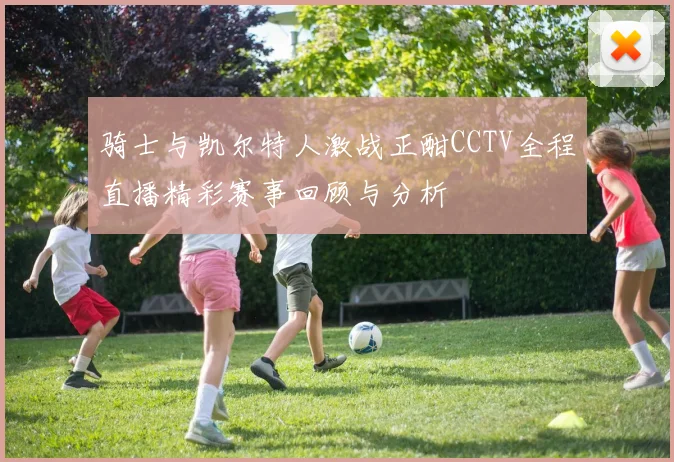 骑士与凯尔特人激战正酣CCTV全程直播精彩赛事回顾与分析