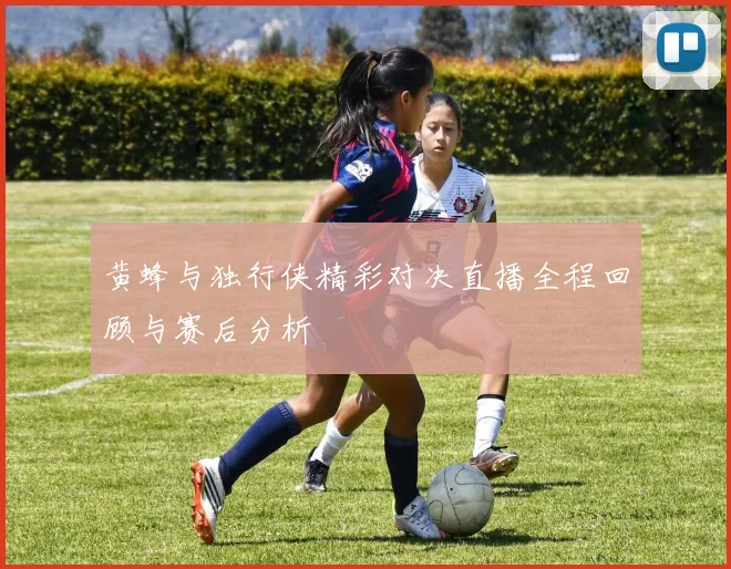 黄蜂与独行侠精彩对决直播全程回顾与赛后分析