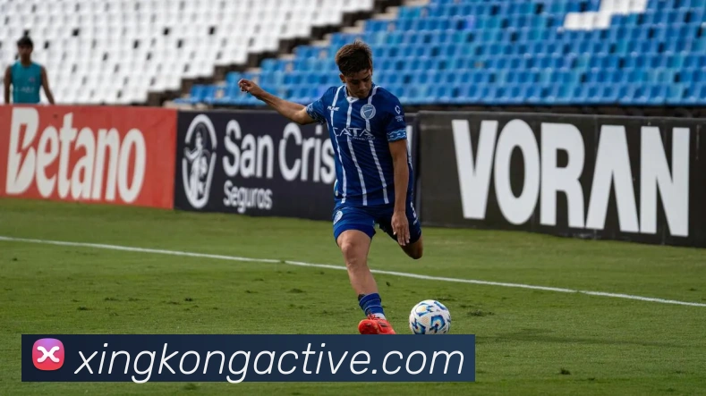 星空体育平台生态图